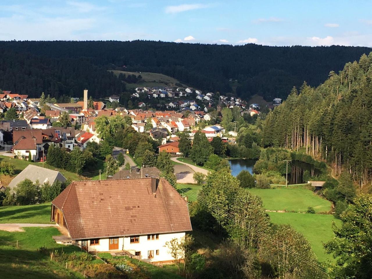Schwarzwaldgasthaus Linde Schramberg Kültér fotó
