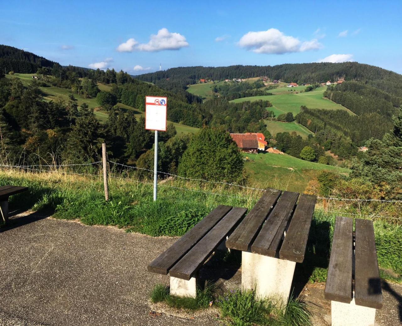 Schwarzwaldgasthaus Linde Schramberg Kültér fotó